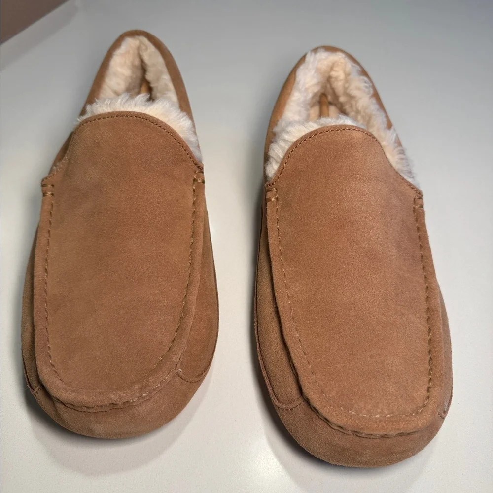 UGG - Men’s Ascot Slipper in Chestnut - US 12 - Picture 5 of 15